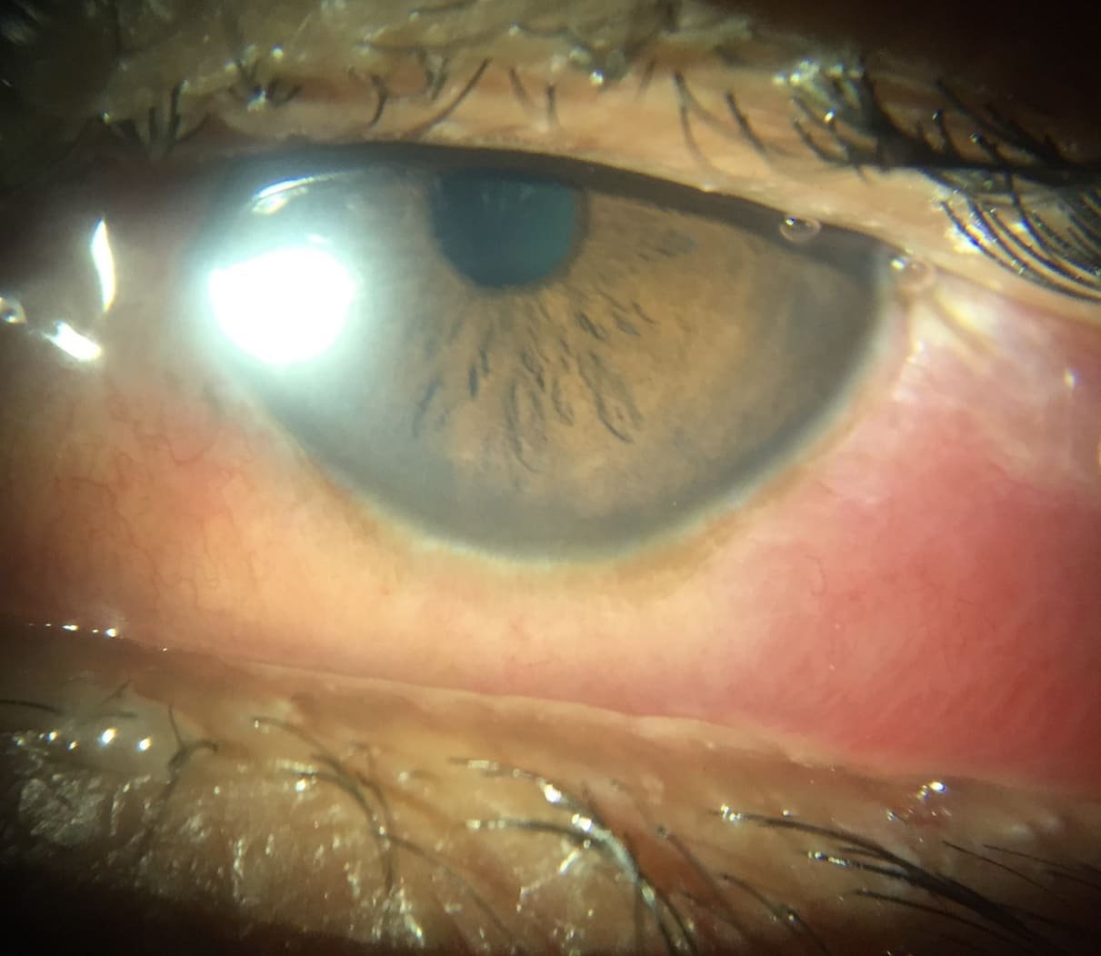 hospital in Virugambakkam