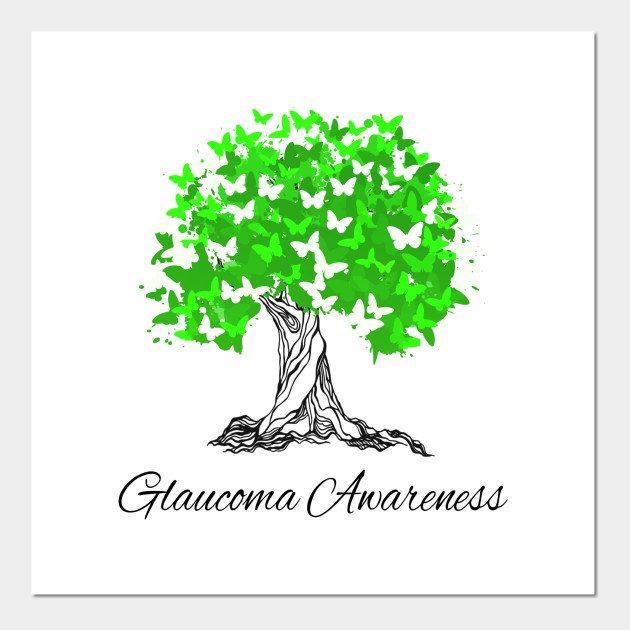 opticals shop near me